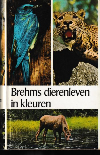 Brehms dierenleven in kleuren