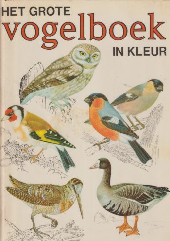 Felix, J. - Het grote vogelboek in kleur