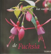 Wijk, A. van - De fuchsia
