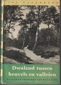 Gazenbeek, J. - Dwalend tussen heuvels en valleien