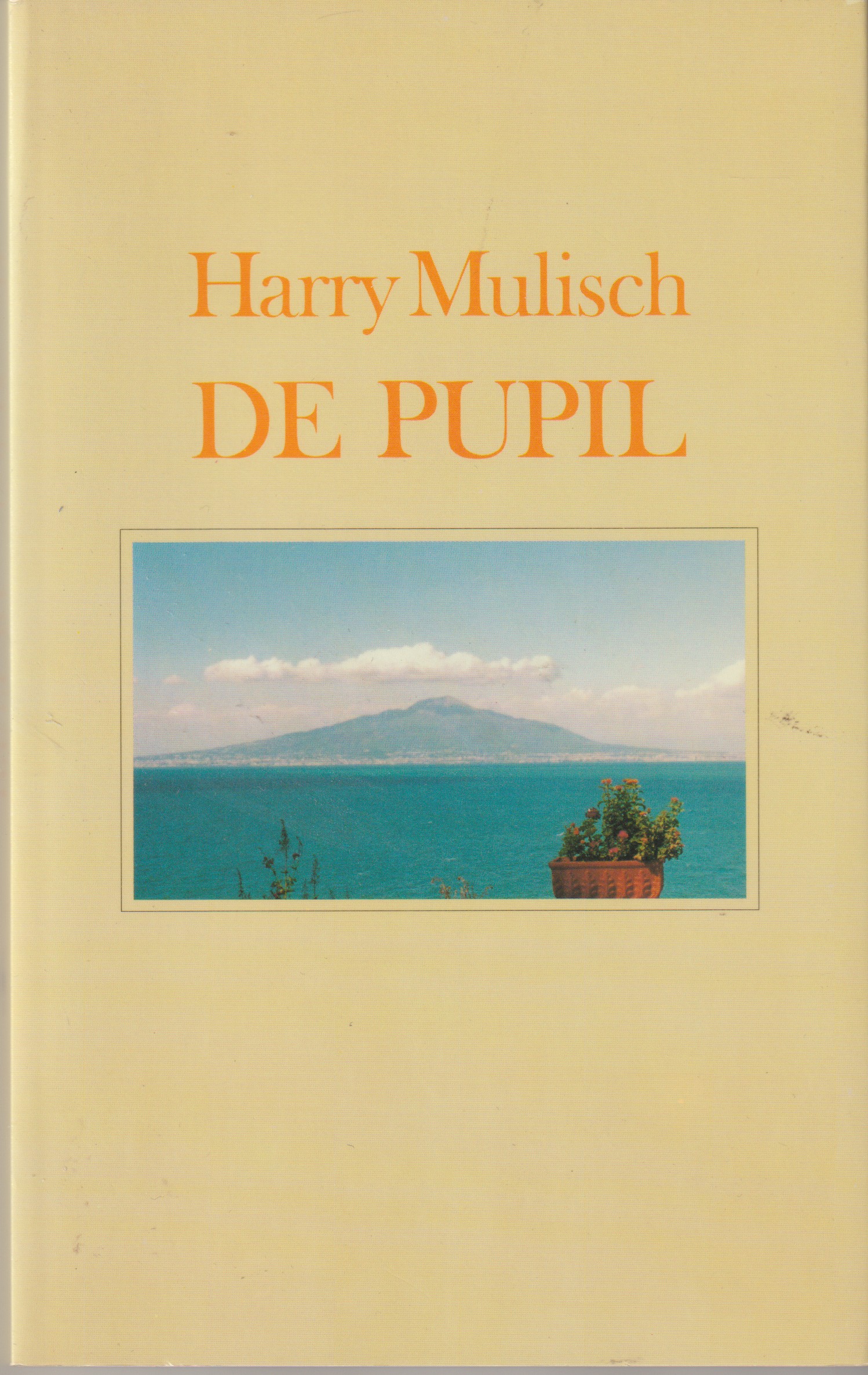 Mulisch, H. - De pupil